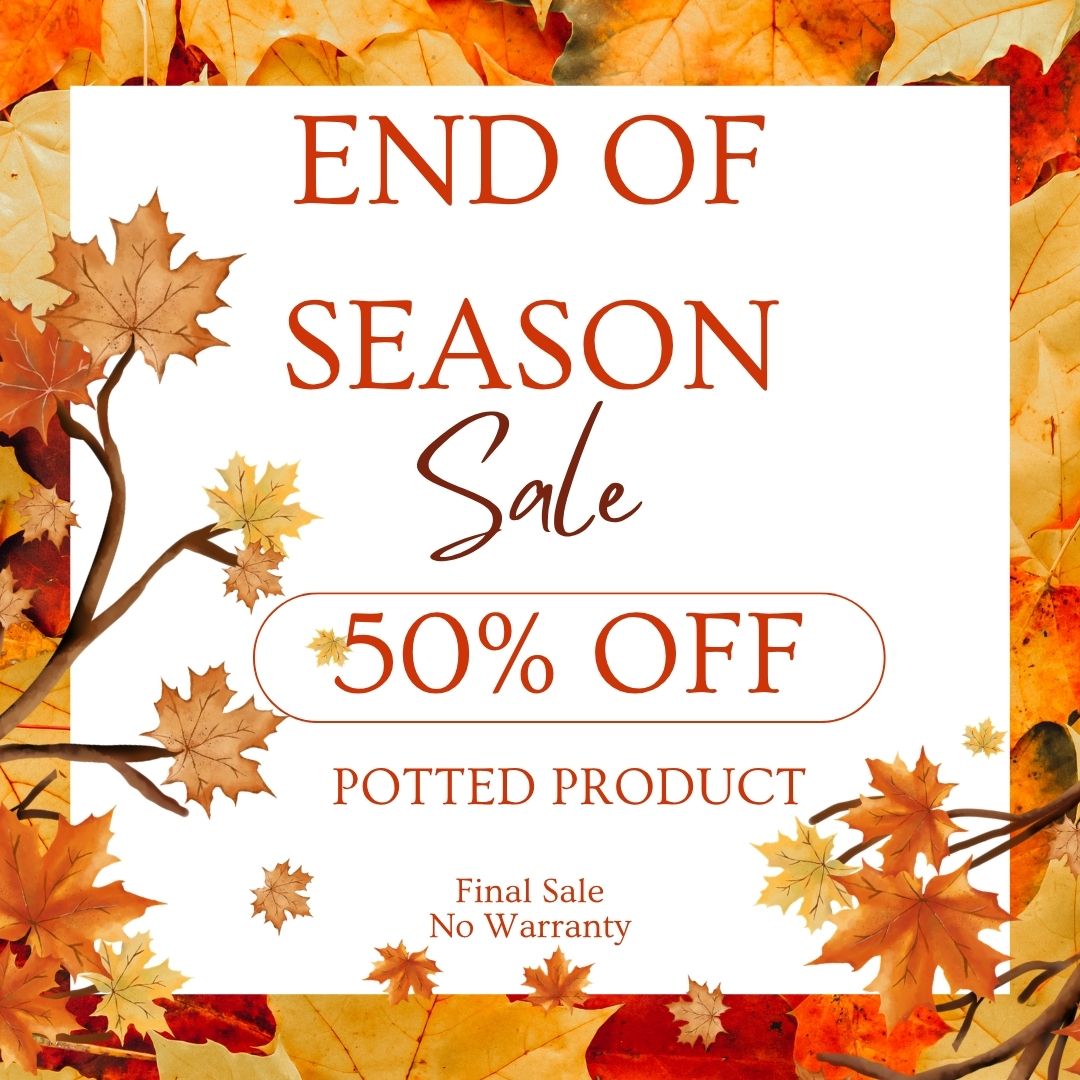 Brown and White Simple Autumn Sale Facebook Post Square.jpg